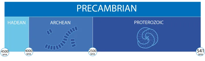 a timeline of the precambrian