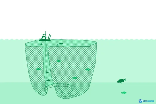 a ships sets a purse seine.
