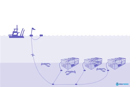 a boat sets traps.