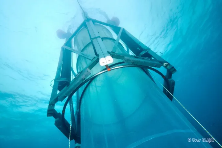 By pumping enormous test tubes that are 60-feet deep and hold almost 15,000 gallons of water with carbon dioxide to make the water inside more acidic, researchers can study how zooplankton, phytoplankton and other small organisms will adapt in the wild.