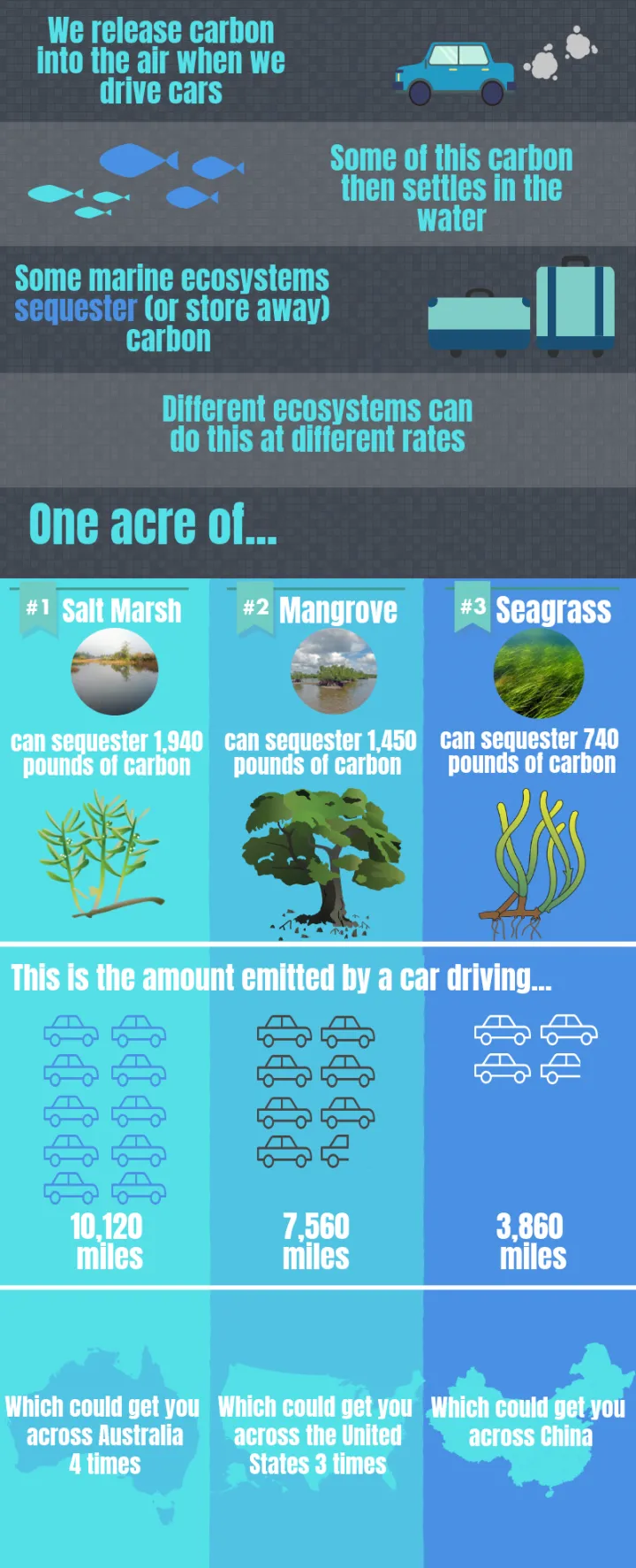 An infographic explaining carbon sequestration