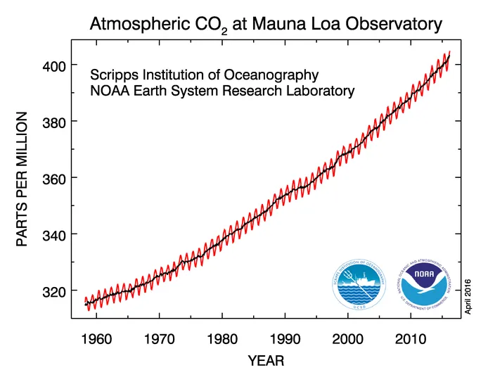 Measurements of carbon dioxide in atmosphere since 1958