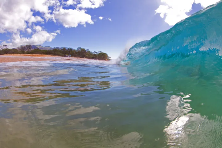 A wave curls near the shore.