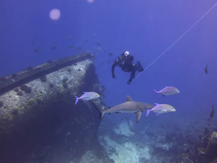 Christian McDonald, the Scientific Diving Safety Officer at the Scripps Institution of Oceanography, tows a surface float at Millennium Atoll in the South Pacific. 