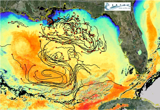 Drifters deployed into the Gulf of Mexico sent location information back to scientists through a GPS satellite. Some of the 5.7 million data points about the drifters locations are seen in this map of the Gulf. 