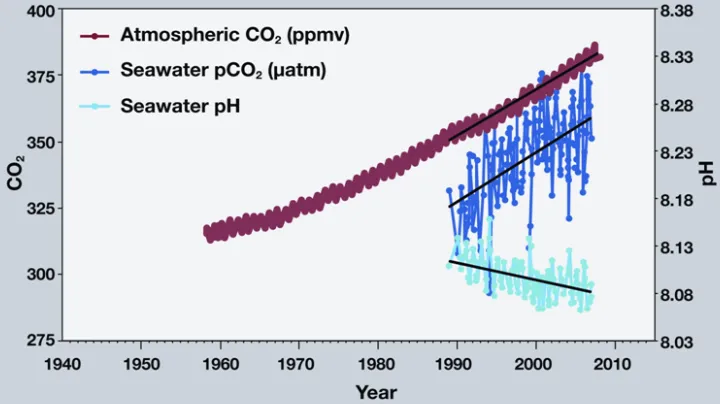 A graph showing rising levels of CO2 in the atmosphere over time. 