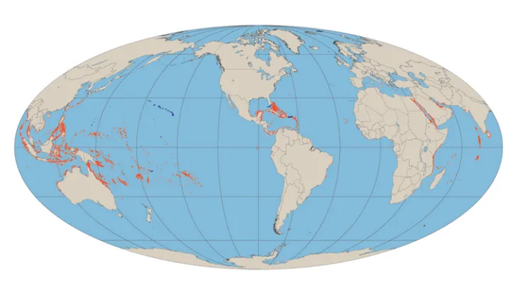 Shallow water coral reefs straddle the equator worldwide.