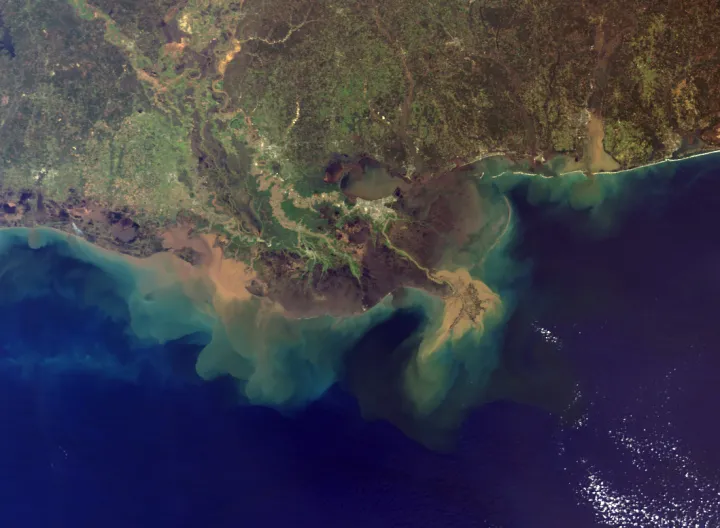 A sediment plume from the mouth of the Mississippi River into the Gulf. 