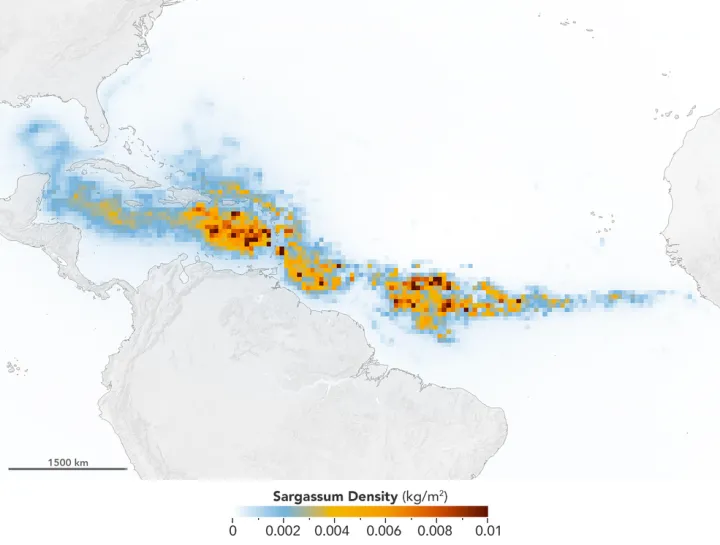 a heat map showing a thick band from Africa, across the northern coast of South America and into the Gulf of Mexico 