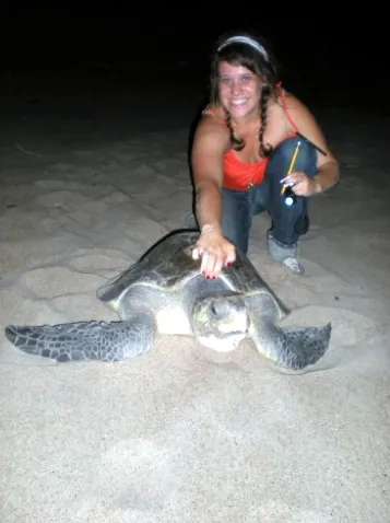 Amanda Feuerstein with a nesting olive ridley (Lepidochelys olivacea). Feuerstein is a co-author of a study that surveyed algae, crustaceans, mollusks, and other epibionts that live on the turtles in the Pacific Ocean.