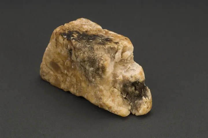 a waxy clump 