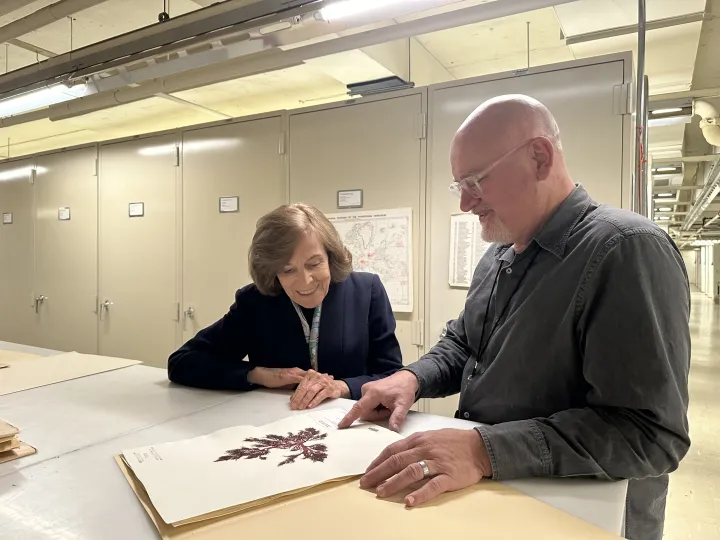 a male and female scientist look at an algae specimen in a collection room