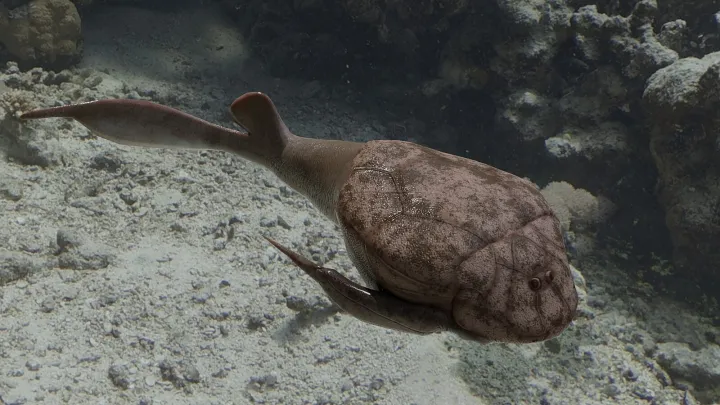 an ancient fish with a bizarre body shape
