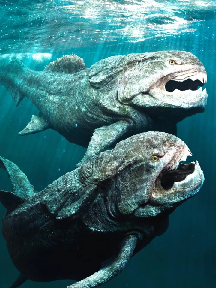 two ancient fishes