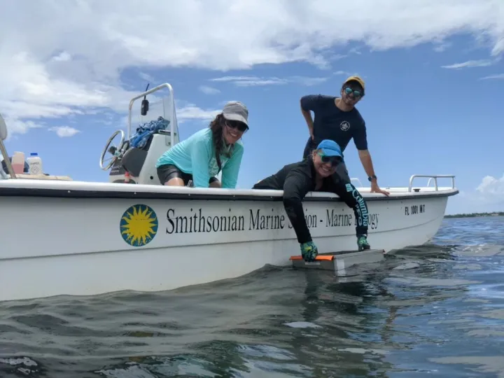 three scientists lean over the side of a small boat