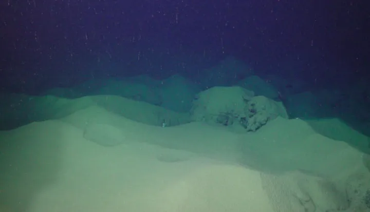 a seafloor blanketed in sediment