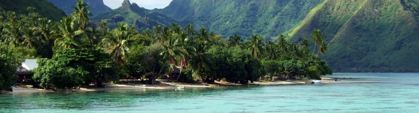 On Moorea, an island in French Polynesia, researchers are striving to complete a biocode—a DNA catalog of every life form big enough to pick up with tweezers.