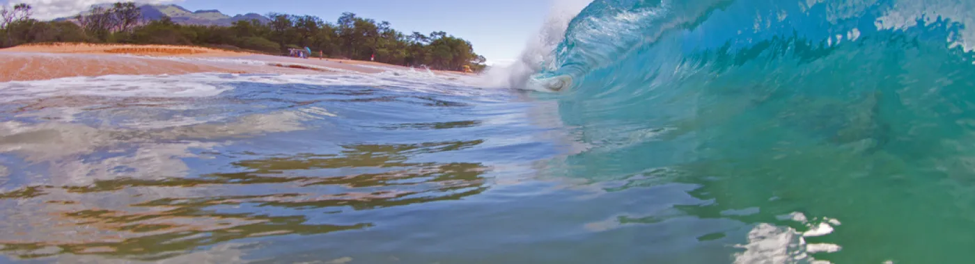 A wave curls near the shore.