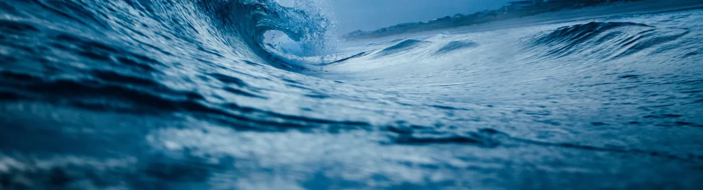 Waves breaking on the shore