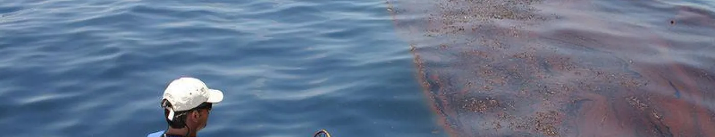 Man stands at the back of a boat looking at oiled seaweed in the water
