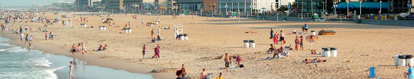 a beach with beachgoers