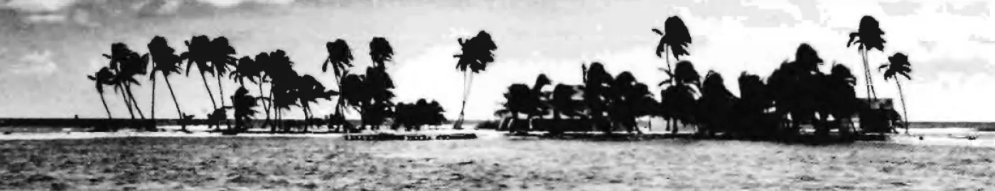 a black and white of a tropical island