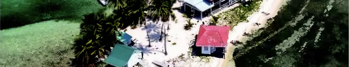 a tropical island from above