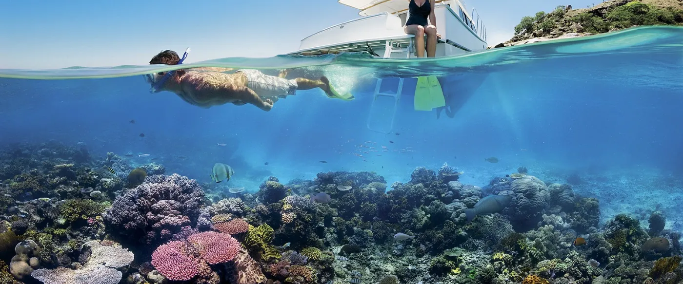 Reef Snorkeling a man snorkels above a reef while a woman in flippers sits on a boat