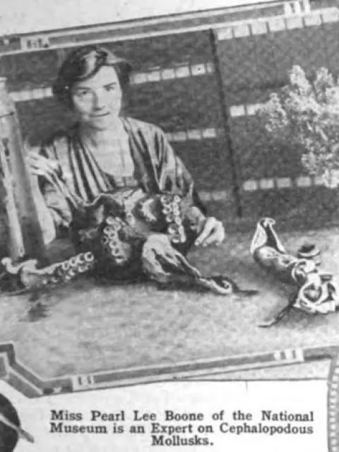 Woman at desk with octopus specimen