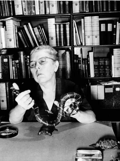 a woman holding a snake