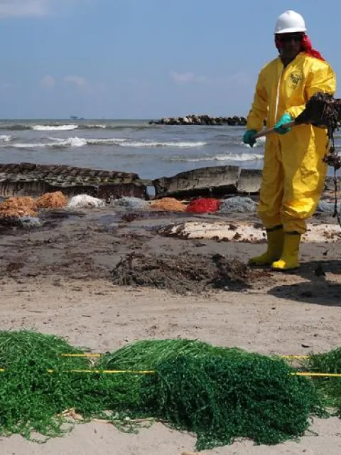 Two men clean up oil covered sand and seaweed from the shore.