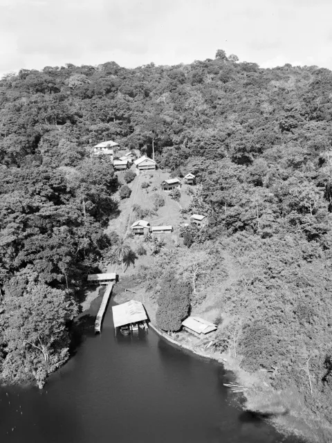A forested hilltop with buildings and a dock