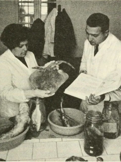 a man and a woman in lab coats look at fish specimens in a laboratory