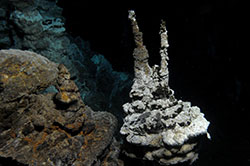 Lokiarchaea